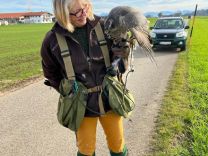 In den Revieren29.jpg