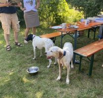 2024-07-20-016 - Sommerfest.jpg