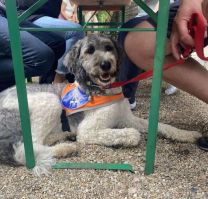 2024-07-20-032 - Sommerfest.jpg