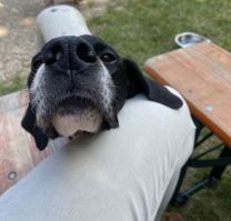 2024-07-20-024 - Sommerfest.jpg